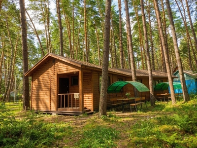 Тишина, покой и скидка 50% на базе отдыха «Электромонтажник» — Ваш идеальный отдых ждёт!