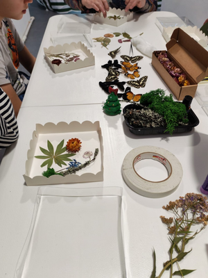 Выставка тропических бабочек и авторские мастер‑классы со скидкой до 28%